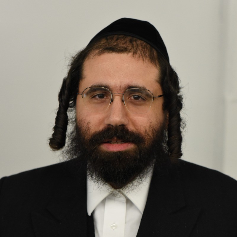 Testimonial from Yakov Fisch on project success