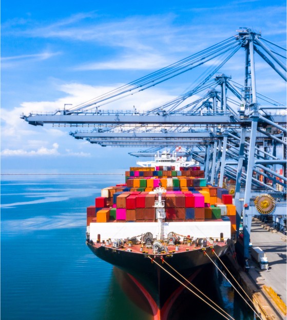 Transportation Logistics Management