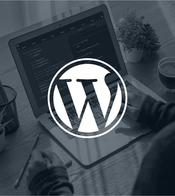 WordPress development services