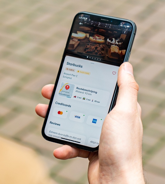 Hybrid app development