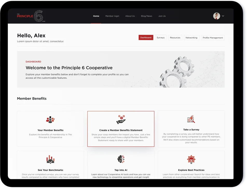 AI Coop Portfolio Preview – Showcasing Smart Cooperative AI Solutions