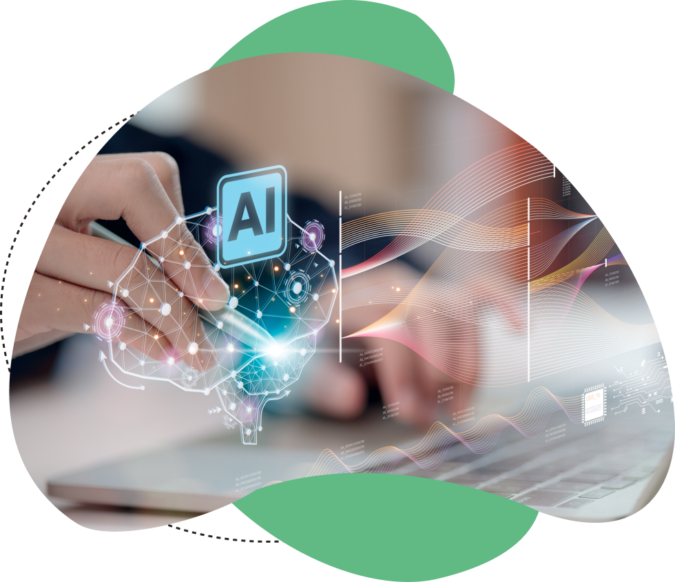 Custom Software Development Services By EvinceDev