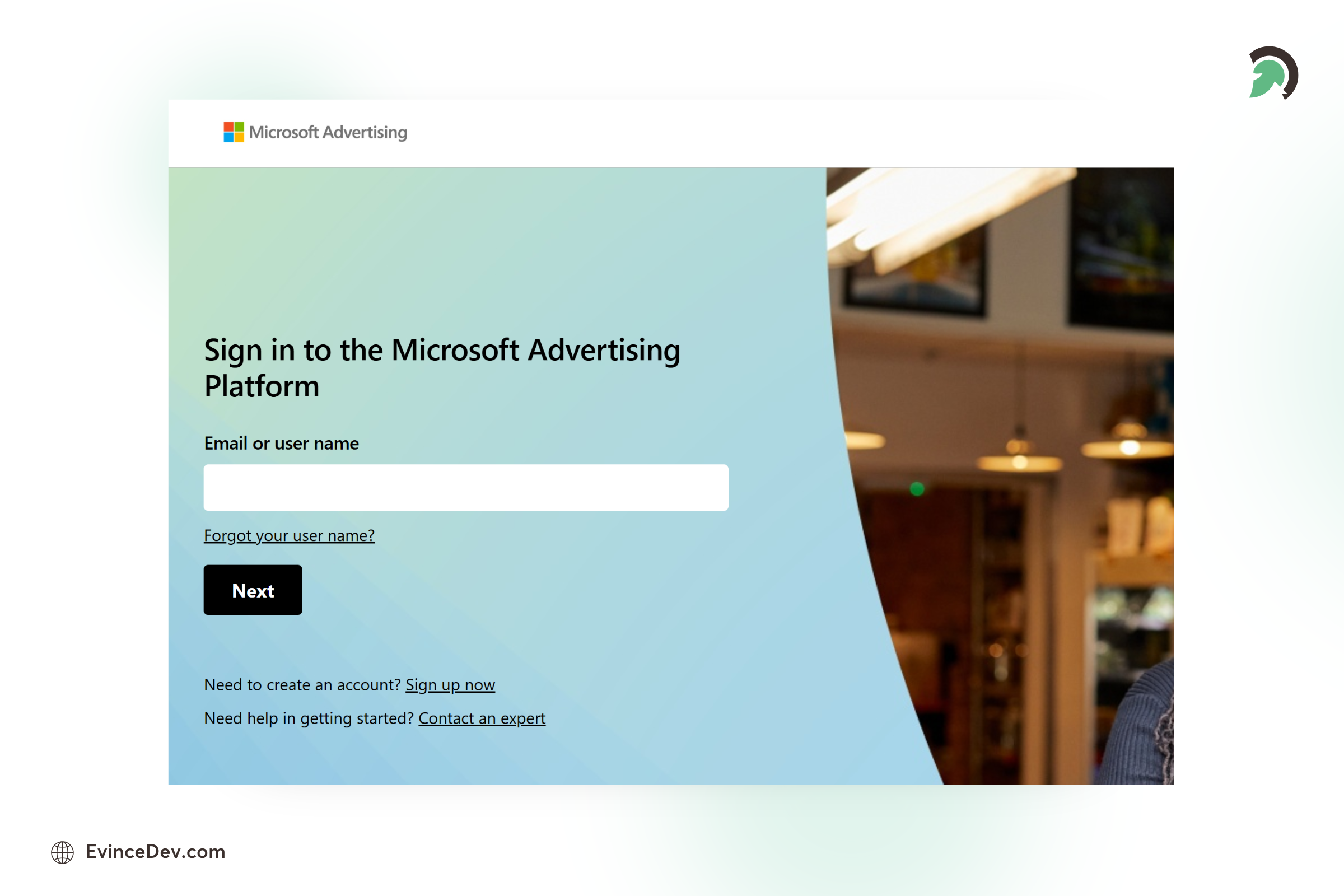Microsoft Advertising Targeting