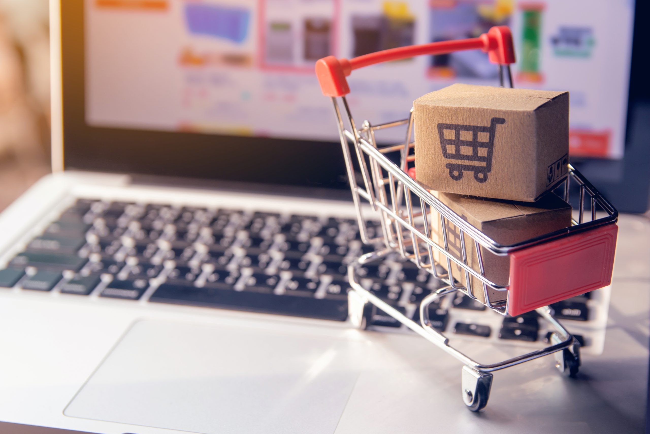 eCommerce Development